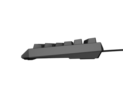 Геймърска клавиатура Genesis Thor 230 TKL Lite, Черна - NKG-2076 gallery image 3