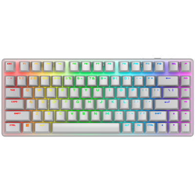 Безжична геймърска клавиатура Alienware Pro, Бяла - 545-BBFR-14 gallery image 1