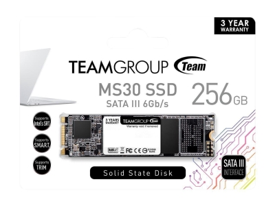 256GB SSD Team Group MS30, M.2 2280 - TM8PS7256G0C101 gallery image 2
