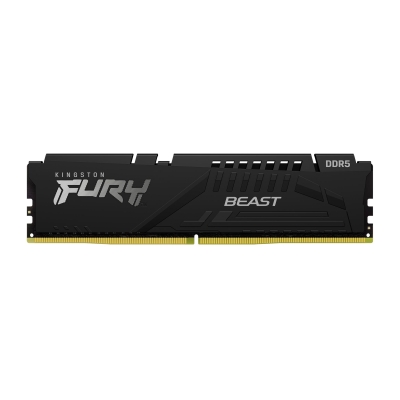 Памет 16GB DDR5 Kingston FURY Beast - KF560C36BBE2-16