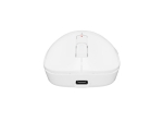 Мишка Fury Gaming Mouse Tanto T4 12000DPI Wireless With Software White