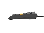 Клавиатура Genesis Gaming Keyboard Thor 230 TKL Naval Blue Positive US Black RGB Mechanical Outemu Panda