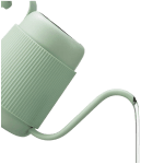 BUYDEEM Gooseneck Pour Over Coffee Kettle, model CD2006, color Cozy Greenish
