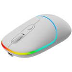CANYON mouse MW-22 2in1 BT/ Wireless Snow White