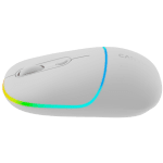 CANYON mouse MW-22 2in1 BT/ Wireless Snow White